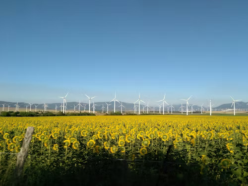 Renewable Energy Marketing Sales